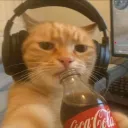 mnmcat