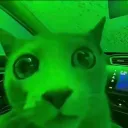 mnmcat