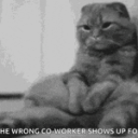 avatar LanceNotActual