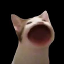 POPACAT