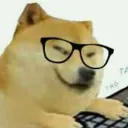apexl7145