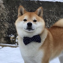 avatar 𝐀𝐤𝐢𝐊𝐚𝐳𝐞🐕🇯🇵