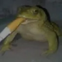 ragnaoko