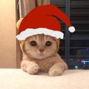 avatar give me all your cookies