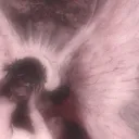 .sc1entific_astr0physics. avatar