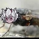 it_el_escritor