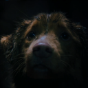 avatar JOLLY! meksco