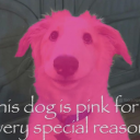 avatar JOLLY! meksco