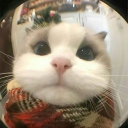 kiyohimselfislazyasf#0