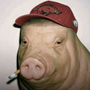 avatar tinhaoutro@maisfixe