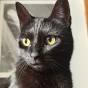 avatar curucusi/panterita🐾🫶