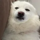 twkn__