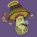 solmushies2945