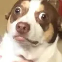 ozoneconnell
