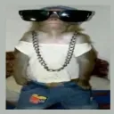 younessznooby