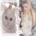 kittyluvsmoney