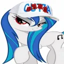 dickiysharck