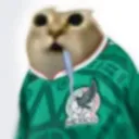 v_snko