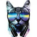 Аватар tochnokot