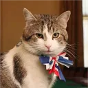 larrythecat1997