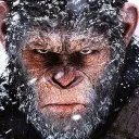 JNKF avatar