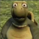 zoozee8246