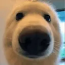 jimc1