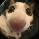 avatar Ra