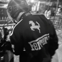 avatar WIX ✮⋆˙ 𝜗ৎ