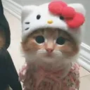 saikura__