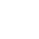 Bot Security 