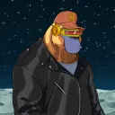 brt_worldofv