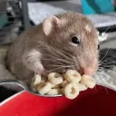 ratman9438