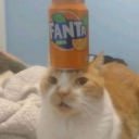 avatar ƈʟօառɛȶȶɛ