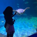 avatar Larvitar Worshipper