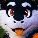 animal_at_play