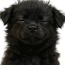 avatar ~{☆ 𝓙𝓾𝓶𝓸 ★}~