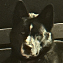 [7th PAC 1.]Pvt.StinkyRichard