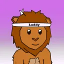 luddy6277