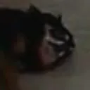 koungj2 avatar