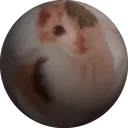 ltorenn_ avatar