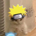 View asdegbvsd's Profile