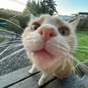 sussygussy9482