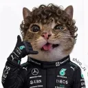 revszer