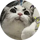 meaowxecross