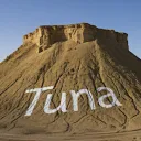 tuna2049