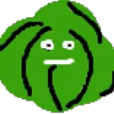 trtthesalad