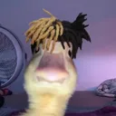 gwshaon
