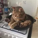 mr.posideon