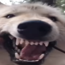 avatar 🐺🐺🐺🐺🐺🐺🐺🐺🐺🐺🐺🐺🐺🐺🐺🐺